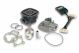 Gruppo termico (motore) Malossi Injection Tech Ã 47 Aprilia SR Ditech GP1 50 2T LC motore Piaggio