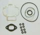 Guarnizioni motore Aprilia Gilera Piaggio D. 47,6 Polini 209.391